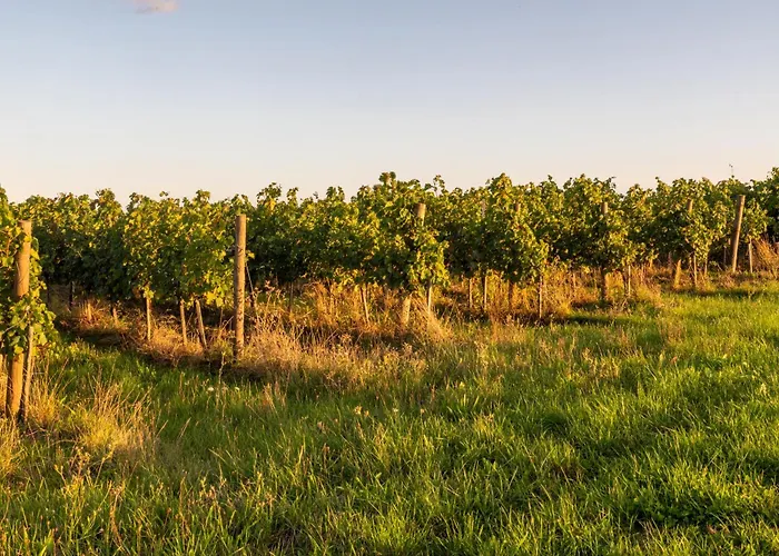 La Grange Des Vignes Сasa de vacaciones Pomport