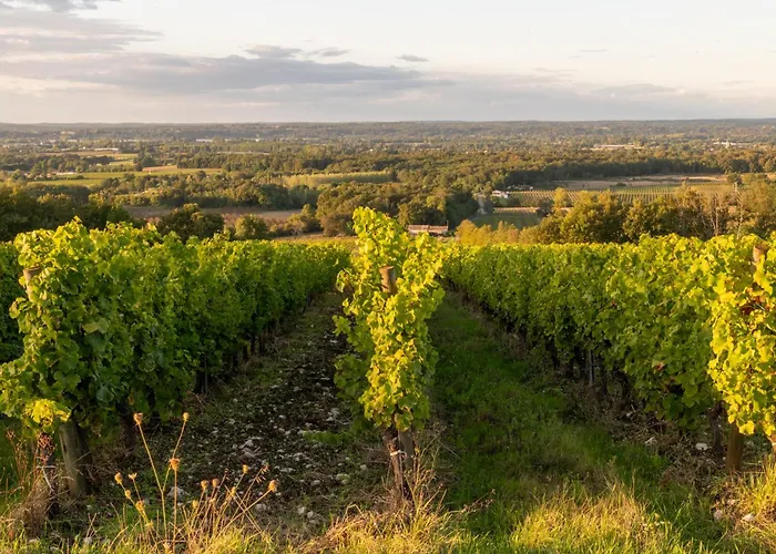 La Grange Des Vignes * Pomport